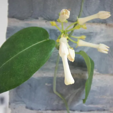 The Old Poolhouse * Bentham